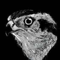 ootaka_大鷹 (@ootaka23851134) 's Twitter Profile Photo