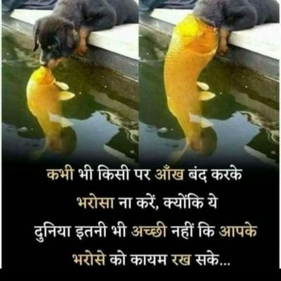 SONUKUM22584583's profile picture. raj patel