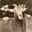 DeAnnPower1's profile image