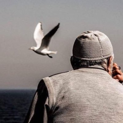 ialnemr's profile picture. Mercy to Mankind prophet Muhammad (Peace be upon him)