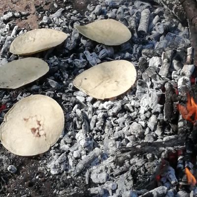 Trabajo en el campo