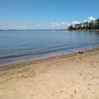 Inflow_Interact's profile picture. Simulations, Performance Support and Analytics