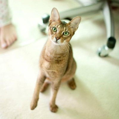 sirmaosalot's profile picture. https://t.co/CLNbq2LqYJ