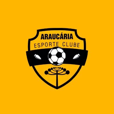 • Twitter oficial do Araucária Esporte Clube
• Time fundado em 06.08.2018
• Disputa a 2° divisão do Campeonato Paranaense
• #VaiCacique ⚫🟡