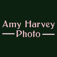 Amy Harvey - @amyharveyphoto Twitter Profile Photo