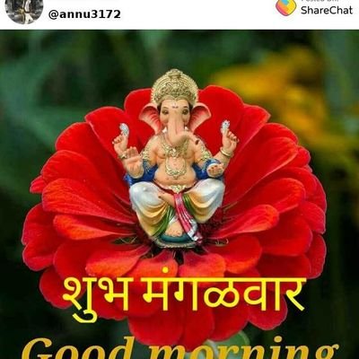 VickyDuseja1's profile picture. 互关 💯💯💯💯🇨🇳🇨🇳互关 💯💯💯💯🇨🇳🇨🇳