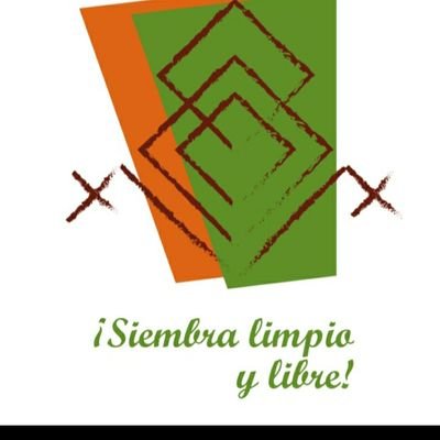 menesesmjr's profile picture. Siembra Limpio y Libre sin duda rescata las semillas nativas, las especies criollas, promueve la agroecologia, y el equilibrio con los ecosistemas.