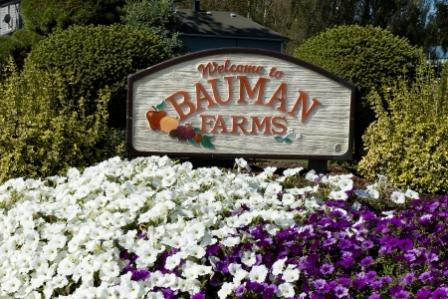 Bauman Farms