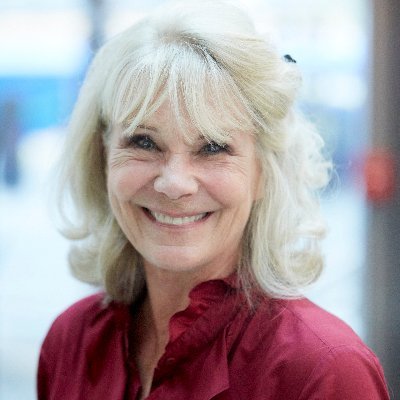 Safe bike facilities, EVs, trees, lighting cycle tracks, race equity, aesthetics, Former Harvard Chan School of Public Health Researcher/Lecturer, views mine