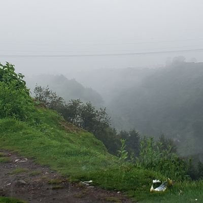 ricmon_2001's profile picture. Profesionista, Apasionado de la vida, del conocimiento, del trabajo, de mi familia, de México y su bienestar. Eterno Aprendiz.