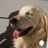 H2oattorney's profile image