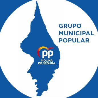 Cuenta Oficial del Grupo Municipal Popular del @AytMolinaSegura. Alcalde: @jangelalfonso.

 #MolinaDeSegura