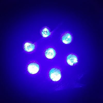 rhubarb1921's profile picture. Unlearning