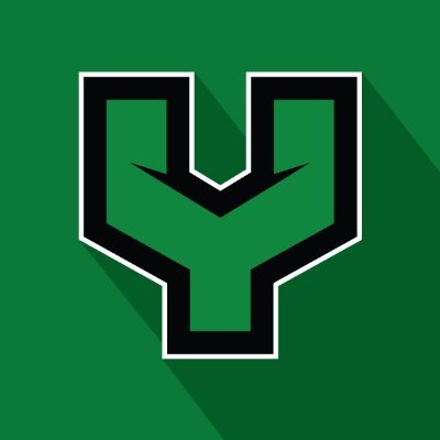 York High School Esports Profile