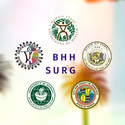 Hawaii State Behavioral Health and Homelessness Statewide Unified Response Group (BHHSURG)