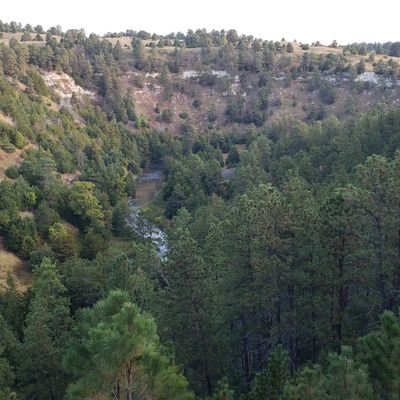 Oihcram061's profile picture. 