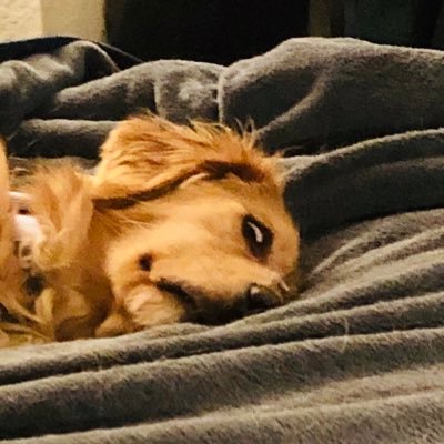 B_Rye_Wizz's profile picture. 