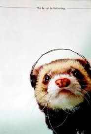 official Pawnshop Radio band twitter page

   Alt-Country Pop based in Central Kentucky. New Album 