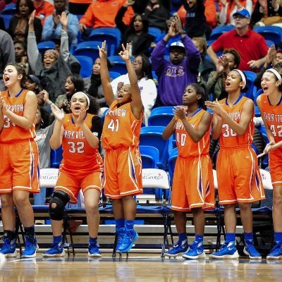 ParkviewLadyPanthers