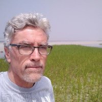 DeanNarciso (@deannarciso) 's Twitter Profile