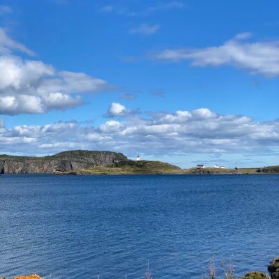 cmacsville's profile picture. 