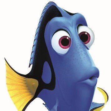 synthoisfr's profile picture. 