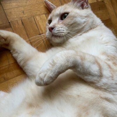 2323akihiro23's profile picture. とにかく人生楽しくしまよもう