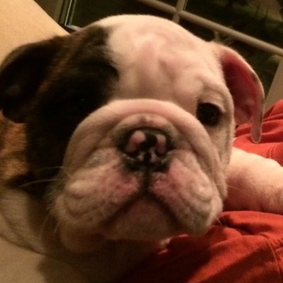 Crobert20532822's profile picture. 