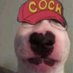 Kiwi Simp Number 69 (@kiwi_simp) Twitter profile photo Kiwi Simp Number 69 (@kiwi_simp) Twitter profile photo
