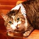 Emma Aitken - @jaynemma - Twitter