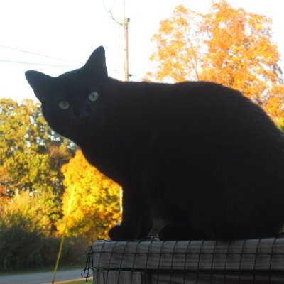 minrberts's profile picture. 