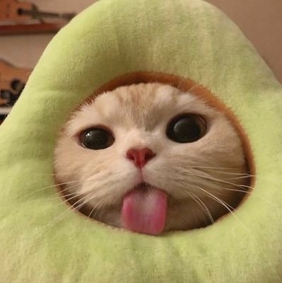 EvellenLl's profile picture. sei lá