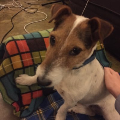 I'm a comics reviewer/editor for Monkeys Fighting Robots. I'm also a world traveller. I've lived in Australia, Canada, Tanzania, Kenya, the States, and Iceland.