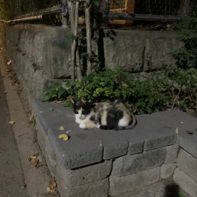 kyeoneee1's profile picture. 개발로 밥 벌어먹는 사람입니다.