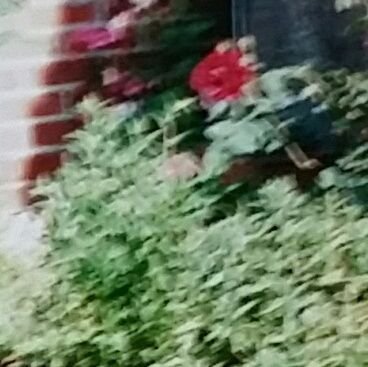 compoundprofits's profile picture. 