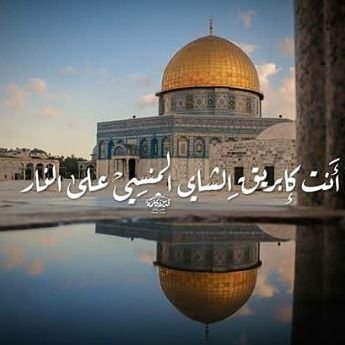 ‏فلسطيني 🇵🇸
من ‎#غزة_الحرة
‎#فلسطين_إسلامية_عربية
‎#القدس_لنا