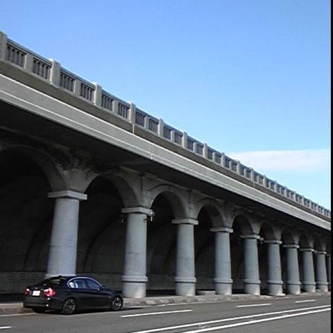 いのしか虎寅虎 Profile
