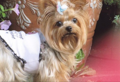 ikumori's profile picture. 美容室coco1月いっぱいで閉店しました。これから第2ステージ頑張ってるところです。