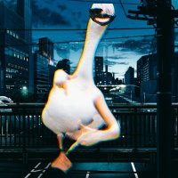 goosiy (@gooosiy) 's Twitter Profile Photo