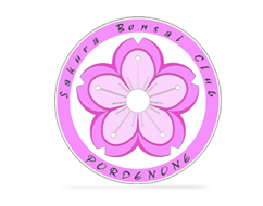 sakurabonsai's profile picture. Appassionati di Bonsai suiseki e non solo!!