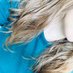 beemaya (@beemaya7) Twitter profile photo beemaya (@beemaya7) Twitter profile photo