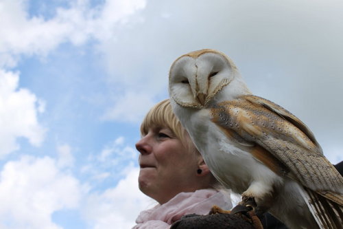 helencoley's profile picture. Person. Founder, Artistic Director/CEO, In Between Time and In Between Time Festival