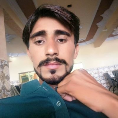 JaanMeerzada's profile picture. political