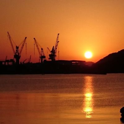 MamaMidai's profile picture. ２児の母 ヨークシャーテリアのダイスケくん ベンガルのりおちゃん と、６人家族です。2023,５月ポメプーのシエルちゃんが 長女ちゃんの娘で家族になりました