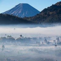 exactlymyways (@sapukatakata) 's Twitter Profile