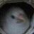 mineraron's profile image