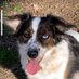 Soul Friends Inc (@soulfriendsinc1) Twitter profile photo Soul Friends Inc (@soulfriendsinc1) Twitter profile photo