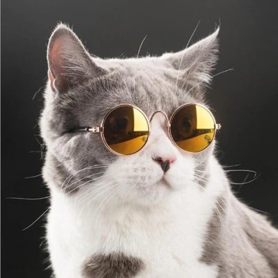 just1happycat's profile picture. 