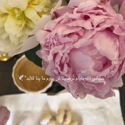 لا أعرف شكلاً آخر للحب الا إني امنحك حريه البقاء أو الرحيل وأحبك في كليهما