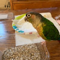 marilyn lynch - @Riotheconure Twitter Profile Photo